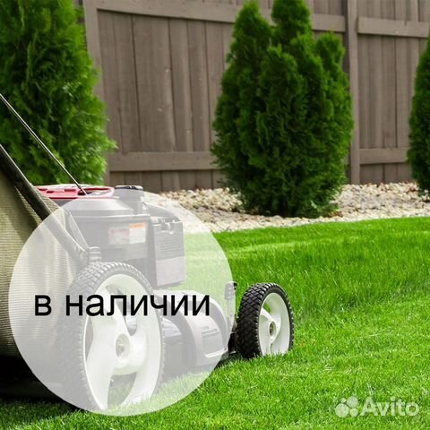 Парковый рулонный газон Павловский посад