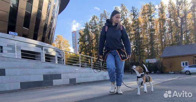 Кинолог. Дрессировка и воспитание собак