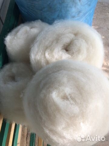 Шерсть овечья