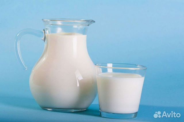 Козье молоко домашнее