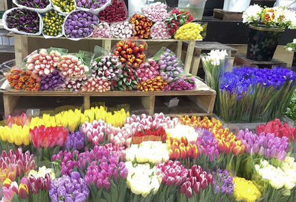 Живые цветы, букеты, тюльпаны