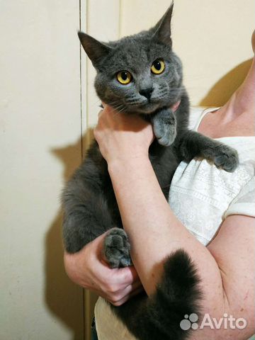 Фунтик