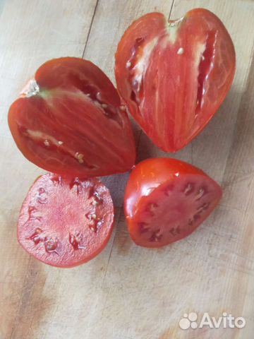 Семена коллекционных томатов