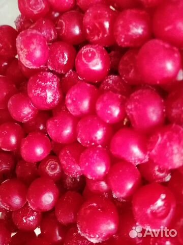 Клоповник ягода(Красника)