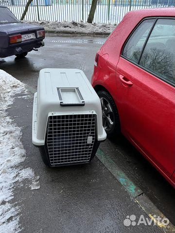 Авиапереноски в самолет для собак