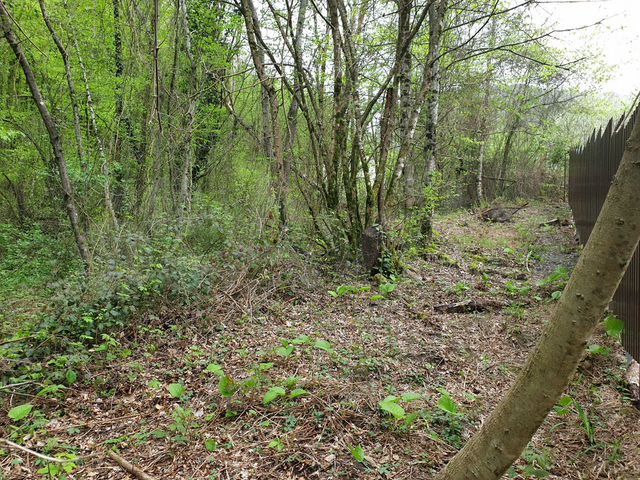 Участок 4,6 сот. (СНТ, ДНП)