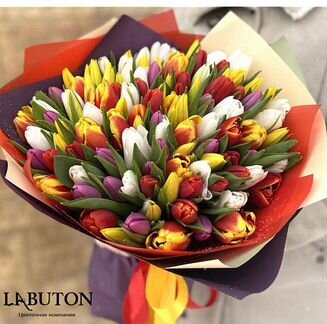 Букет 51 тюльпан микс