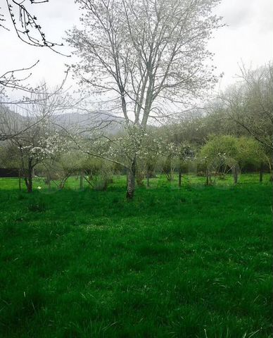 Участок 16 сот. (ИЖС)