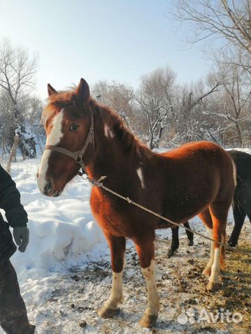 Наталья