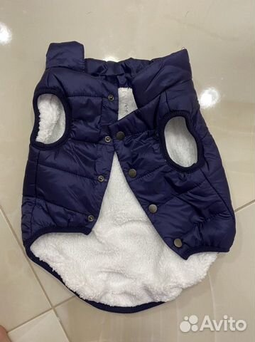 Одежда для собак