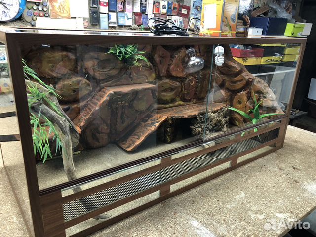 Аквариум и террариум