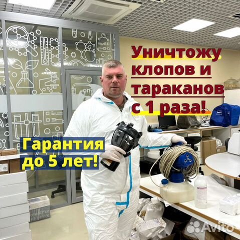 Уничтожение клопов, травить тараканов. Дезинсекция