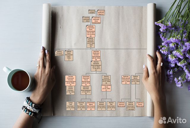 Родословная книга