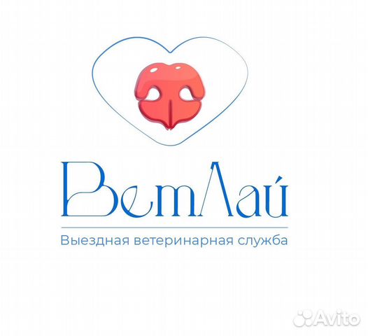 Ветеринарные услуги на дом, ветеринар