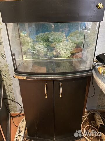 Аквариум с тумбой 60-70 литров