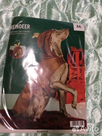 Новый новогодний костюм для собаки