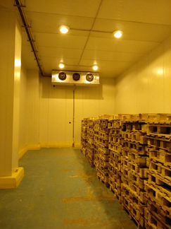 Аренда холодильного морозильного склада