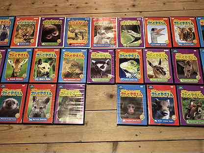 Твои весёлые друзья зверята пингвин питер. Животные убийцы dvd диски. Dvd планета животных. Диск про животных. Dvd диски про животных.