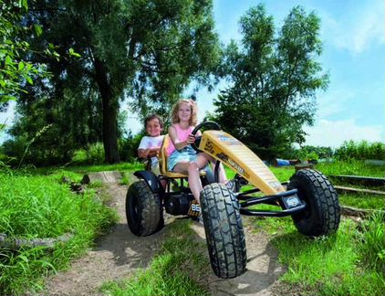 Веломобиль Berg Safari BFR