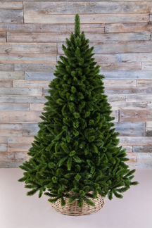 Triumph Tree Ель Триумф де Люкс
