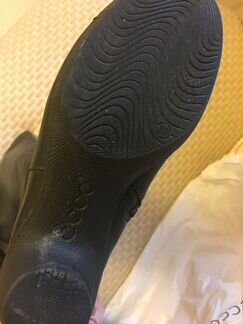 Сапоги экко Ecco на сейчас