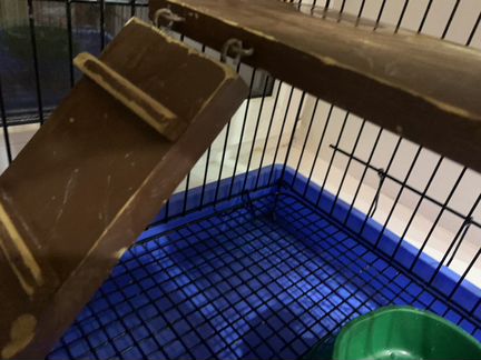 Клетка для крыс