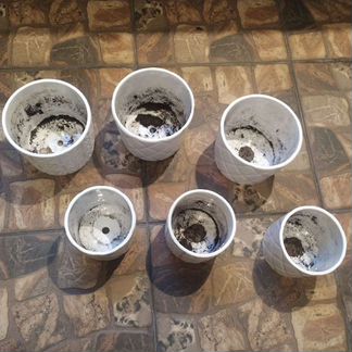 Кашпо 6 шт белые керамика