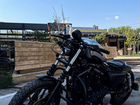 Harley Davidson sportster 883 iron