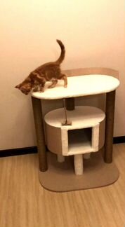 Домик для кошек