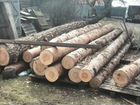 Удаление, валка деревьев в Одинцово объявление продам