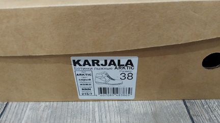 Лыжные ботинки