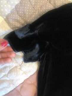 Блузка бархатная темно-синяя Jacadi