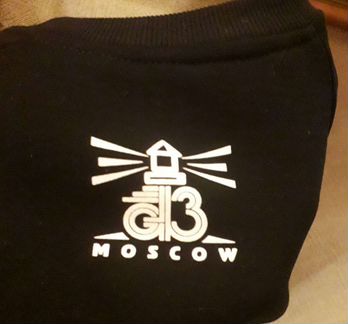 Свитшот G13 Маяк Casuals