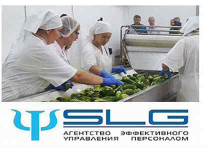 Вакансии без опыта работы. Работа в черкесске свежие вакансии. Работа в черкесске без опыта работы. Работа в черкесске без опыта работы. Работа в черкесске без опыта работы.