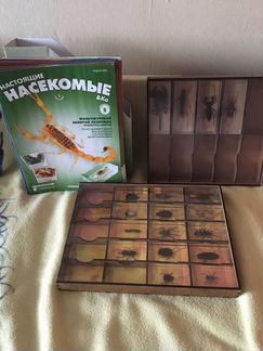 Журнал насекомые