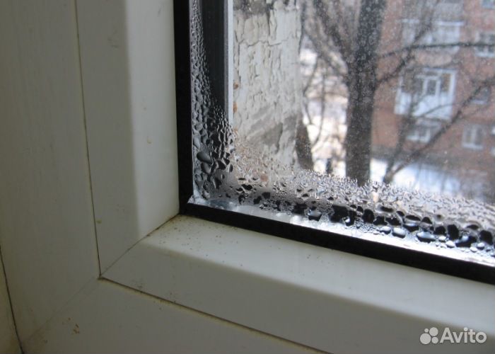 запотевшие пластиковые окна. конденсация на окнах. конденсат на окнах зимой. конденсация на окнах. конденсат на пластиковых окнах.