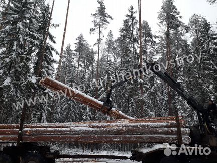 Сруб для бани