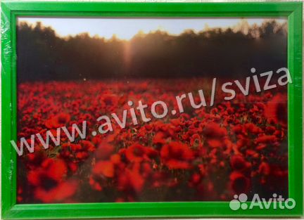 Деревянная рамка 21х30 см(А4) со стеклом,11 цветов