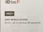 Мобильный идентификатор ukey BAS-IP