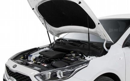 Амортизаторы (Упоры) капота Kia Cerato 2018-н.в