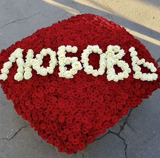 501 Роза