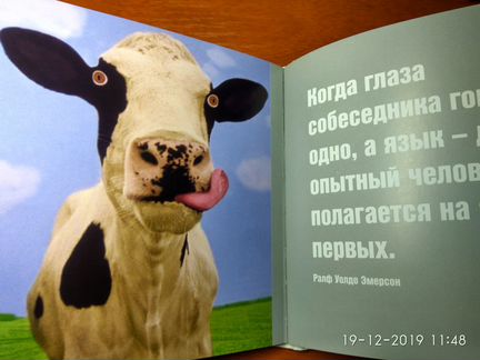 Дэвид Байрд: Жизнь - сложная штука