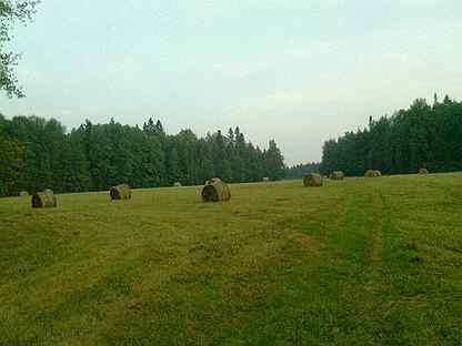 Д скобелевка карта