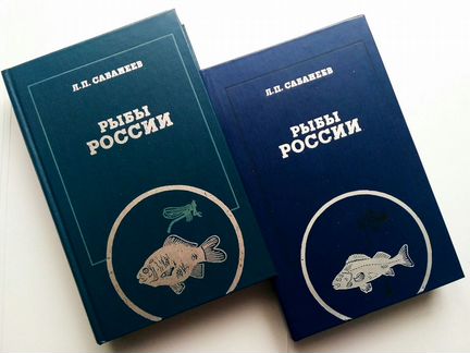 Рыбы России Сабанеев Л.П. - уникальная книга