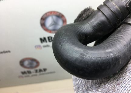 Шланг охлаждающей жидкости Mercedes W203