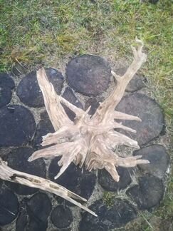 Корни декор