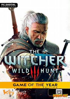 The Witcher 3 goty